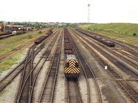 Tees yard and Thornaby shed