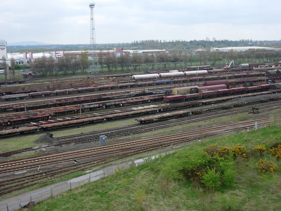 Tees yard 2005