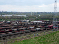 Tees yard 2005